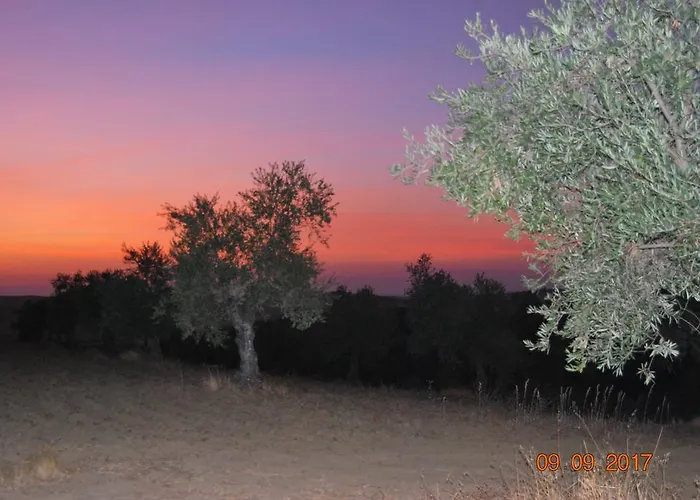 Ecologica Huerta Del Pirata Fuente de Cantos